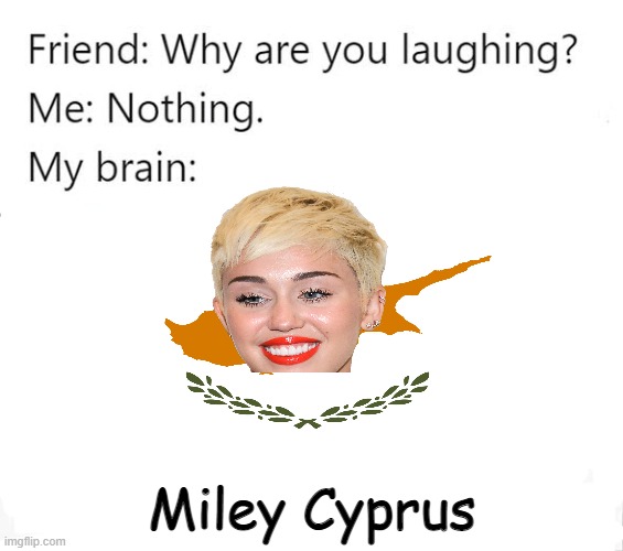 Shes more then a wrecking ball now | Miley Cyprus | image tagged in why are you laughing template | made w/ Imgflip meme maker
