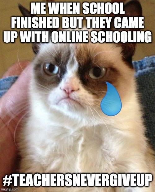 Grumpy Cat Meme | ME WHEN SCHOOL FINISHED BUT THEY CAME UP WITH ONLINE SCHOOLING; #TEACHERSNEVERGIVEUP | image tagged in memes,grumpy cat | made w/ Imgflip meme maker