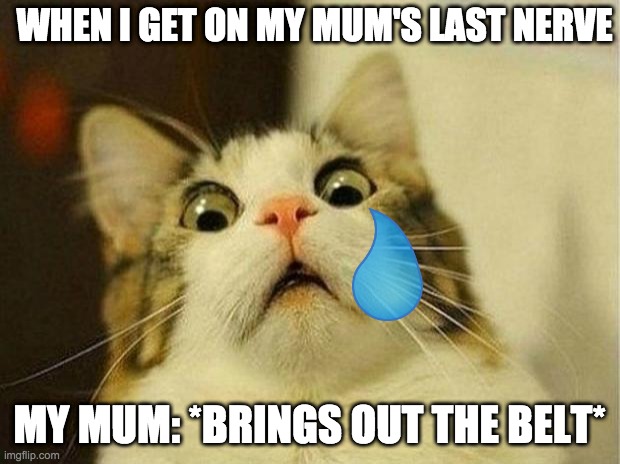 Scared Cat | WHEN I GET ON MY MUM'S LAST NERVE; MY MUM: *BRINGS OUT THE BELT* | image tagged in memes,scared cat | made w/ Imgflip meme maker