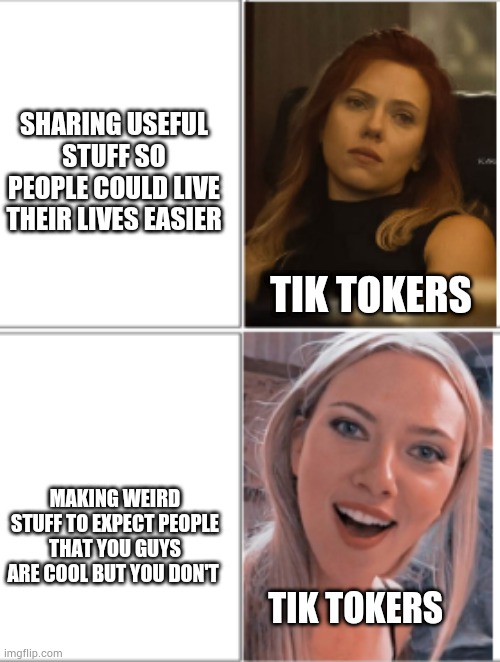 Stop it,guys | SHARING USEFUL STUFF SO PEOPLE COULD LIVE THEIR LIVES EASIER; TIK TOKERS; MAKING WEIRD STUFF TO EXPECT PEOPLE THAT YOU GUYS ARE COOL BUT YOU DON'T; TIK TOKERS | image tagged in scarlett johansson drake | made w/ Imgflip meme maker