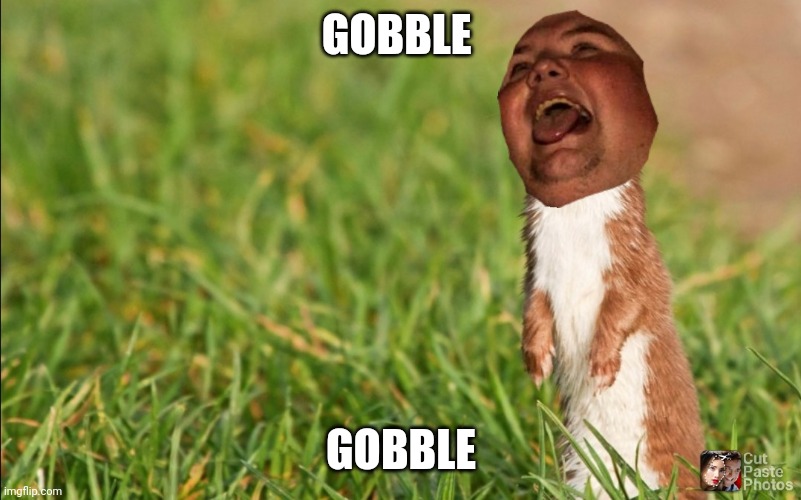 Spunk Weasel | GOBBLE; GOBBLE | image tagged in spunk weasel | made w/ Imgflip meme maker