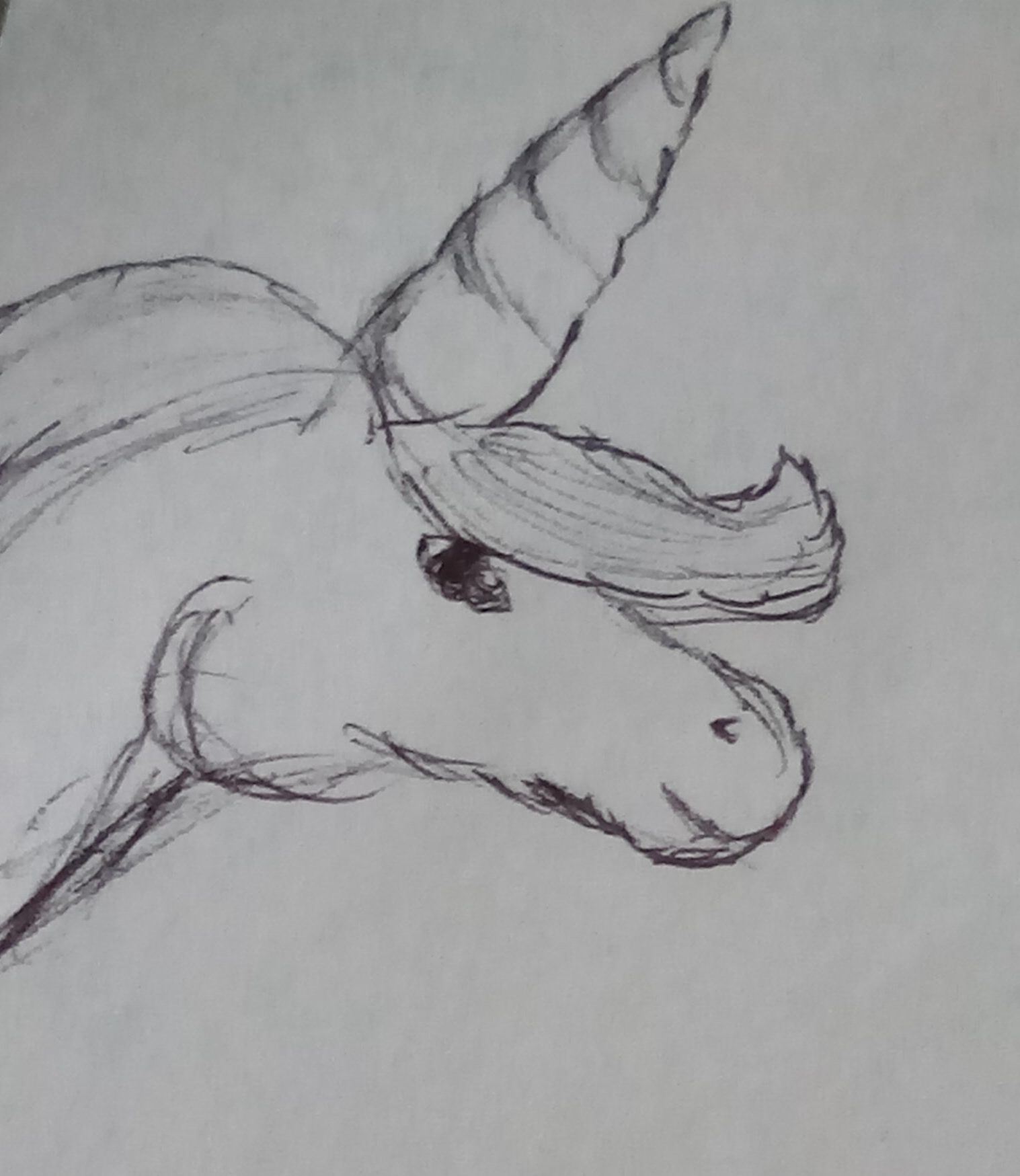 Trash doodle unicorn Blank Meme Template