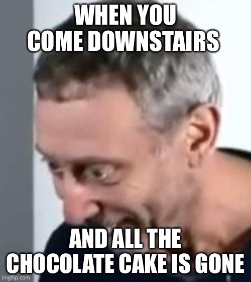 When Michael Rosen realised | WHEN YOU COME DOWNSTAIRS; AND ALL THE CHOCOLATE CAKE IS GONE | image tagged in when michael rosen realised | made w/ Imgflip meme maker