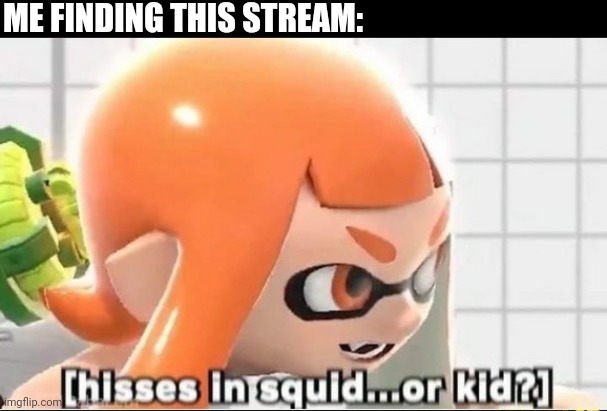 Hisses in squid...or kid? | ME FINDING THIS STREAM: | image tagged in hisses in squid or kid | made w/ Imgflip meme maker