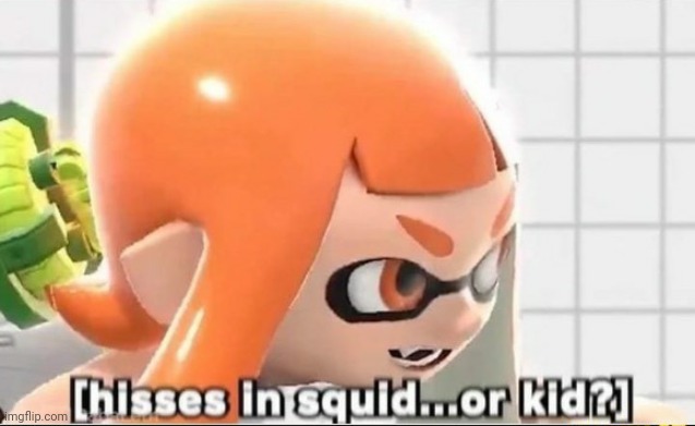 Hisses in squid...or kid? | image tagged in hisses in squid or kid | made w/ Imgflip meme maker