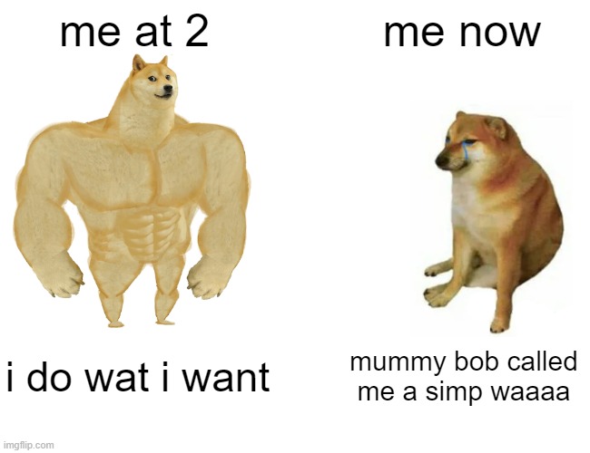 life | me at 2; me now; i do wat i want; mummy bob called me a simp waaaa | image tagged in memes,buff doge vs cheems | made w/ Imgflip meme maker