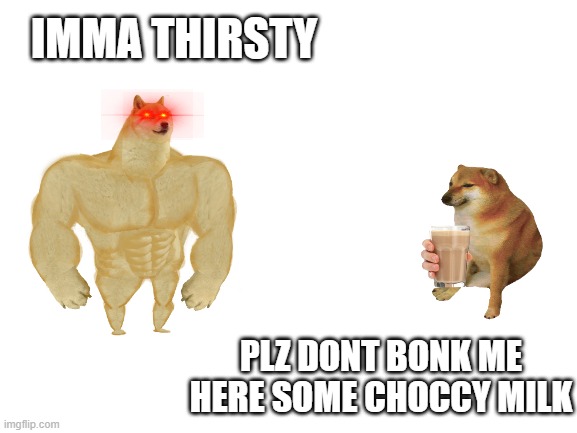 no bonk | IMMA THIRSTY; PLZ DONT BONK ME
HERE SOME CHOCCY MILK | image tagged in blank white template | made w/ Imgflip meme maker