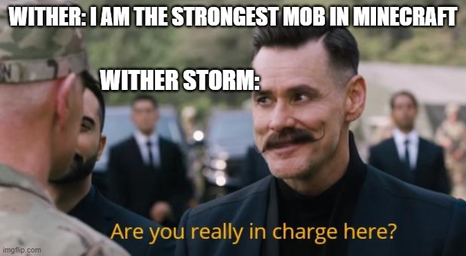 wither's dad | WITHER: I AM THE STRONGEST MOB IN MINECRAFT; WITHER STORM: | image tagged in are you really in charge here | made w/ Imgflip meme maker