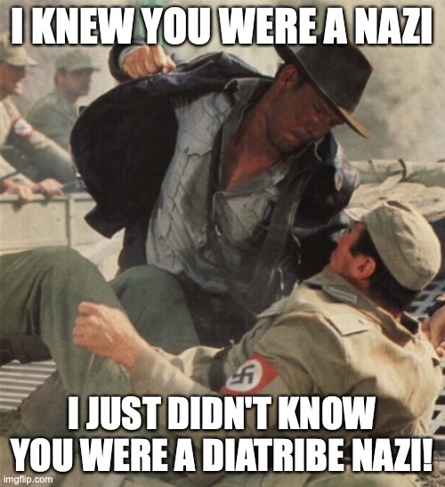 Indiana Jones Punching Nazis | I KNEW YOU WERE A NAZI I JUST DIDN'T KNOW YOU WERE A DIATRIBE NAZI! | image tagged in indiana jones punching nazis | made w/ Imgflip meme maker