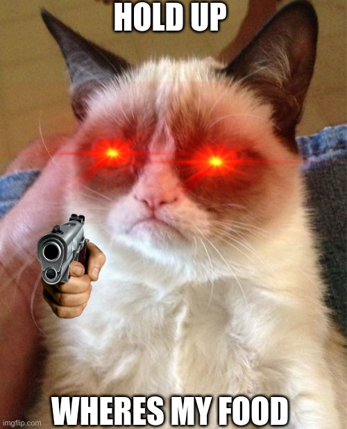 Grumpy Cat | HOLD UP; WHERES MY FOOD | image tagged in memes,grumpy cat | made w/ Imgflip meme maker