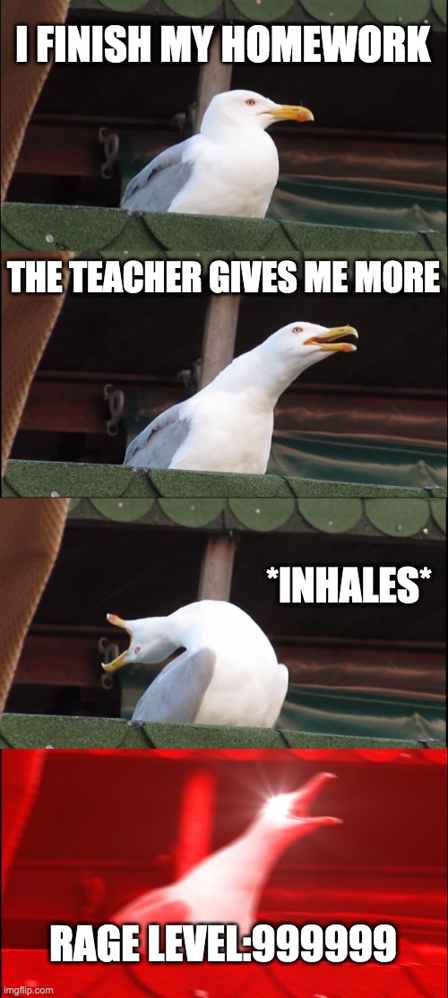 Inhaling Seagull | I FINISH MY HOMEWORK; THE TEACHER GIVES ME MORE; *INHALES*; RAGE LEVEL:999999 | image tagged in memes,inhaling seagull | made w/ Imgflip meme maker