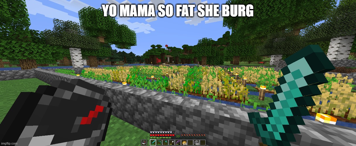 burgo | YO MAMA SO FAT SHE BURG | image tagged in burger,yo mama | made w/ Imgflip meme maker