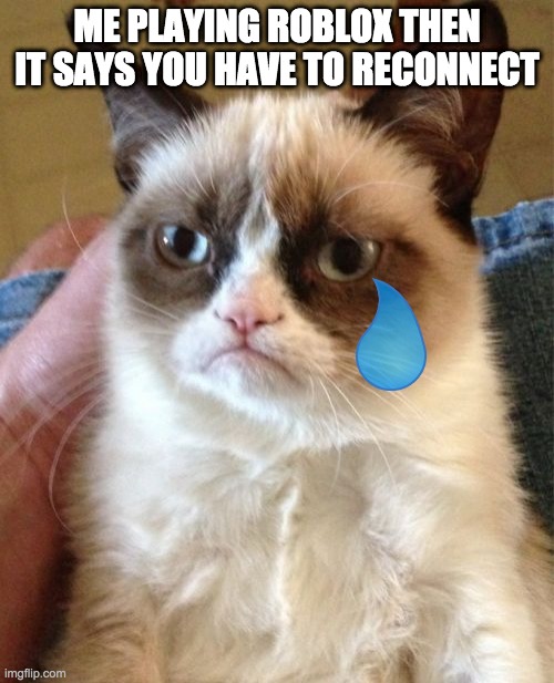 Grumpy Cat | ME PLAYING ROBLOX THEN IT SAYS YOU HAVE TO RECONNECT | image tagged in memes,grumpy cat | made w/ Imgflip meme maker