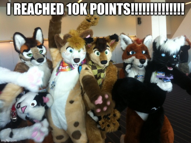 Furries | I REACHED 10K POINTS!!!!!!!!!!!!!! | image tagged in furries | made w/ Imgflip meme maker