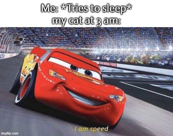 I am speed | Me: *Tries to sleep*
my cat at 3 am: | image tagged in i am speed | made w/ Imgflip meme maker