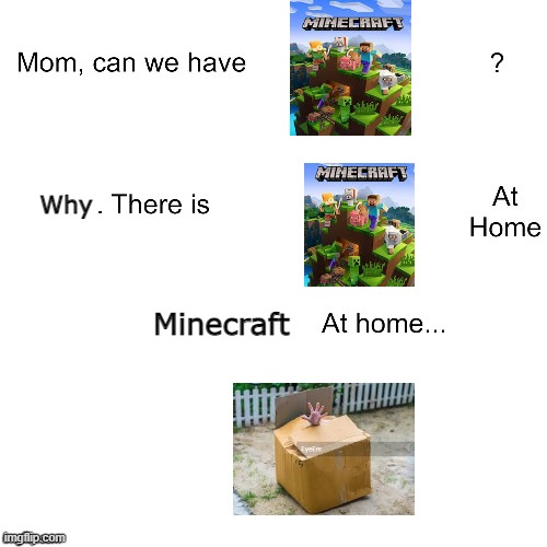 Mom can we have | Why; Minecraft | image tagged in mom can we have,gaming,fun,lol,minecraft at home,minecraft | made w/ Imgflip meme maker