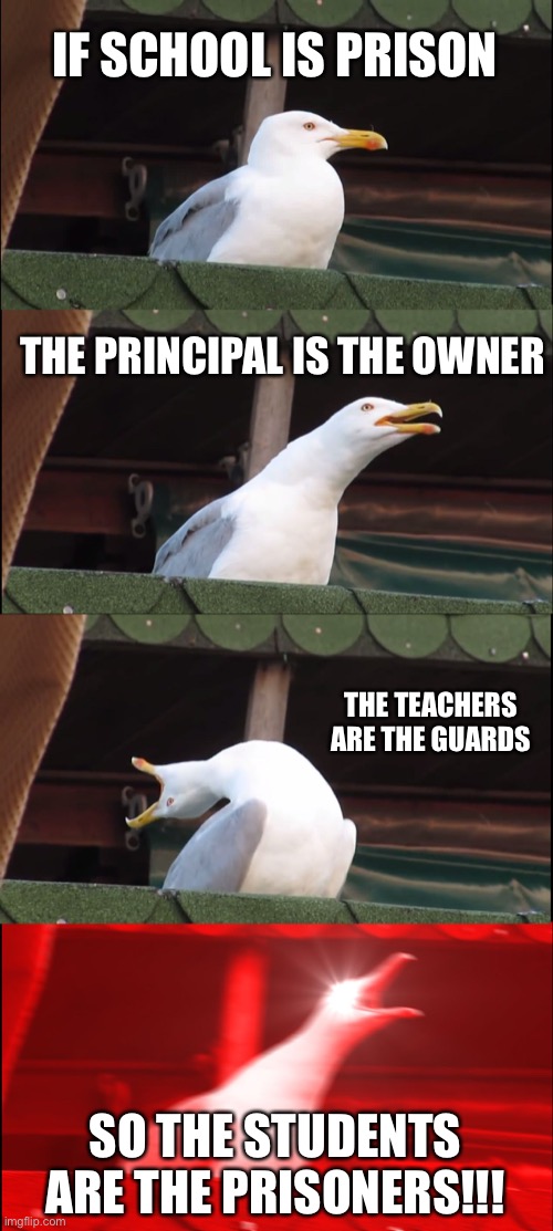 Student=Prisoner | IF SCHOOL IS PRISON; THE PRINCIPAL IS THE OWNER; THE TEACHERS ARE THE GUARDS; SO THE STUDENTS ARE THE PRISONERS!!! | image tagged in memes,inhaling seagull | made w/ Imgflip meme maker