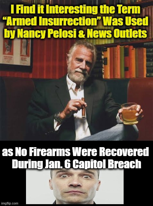 ‘Just the Facts, Ma’am’ | image tagged in political meme,democrats,nancy pelosi,insurrection | made w/ Imgflip meme maker