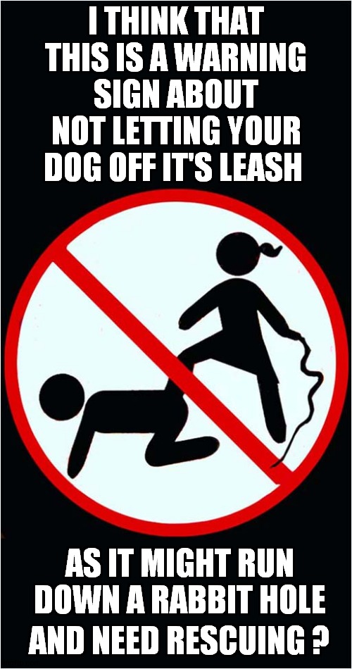 Keep Your Dog Under Control ? | I THINK THAT THIS IS A WARNING SIGN ABOUT NOT LETTING YOUR DOG OFF IT'S LEASH; AS IT MIGHT RUN DOWN A RABBIT HOLE; AND NEED RESCUING ? | image tagged in warning sign,dark humour | made w/ Imgflip meme maker