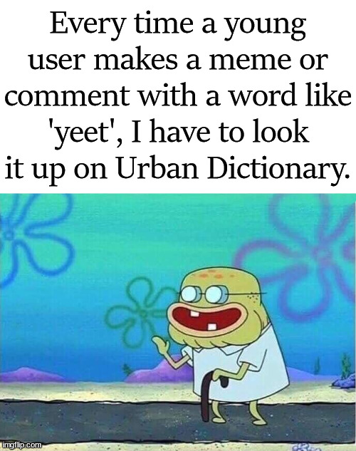 Feeling really old. | Every time a young user makes a meme or comment with a word like 'yeet', I have to look it up on Urban Dictionary. | image tagged in urban dictionary,feel old yet | made w/ Imgflip meme maker