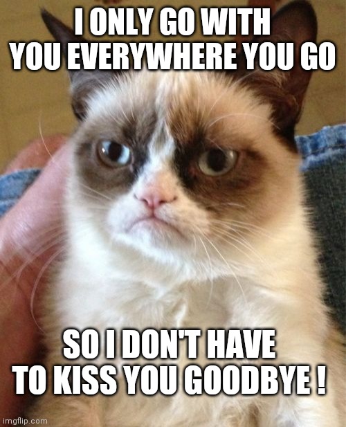 Grumpy Cat Meme | I ONLY GO WITH YOU EVERYWHERE YOU GO; SO I DON'T HAVE TO KISS YOU GOODBYE ! | image tagged in memes,grumpy cat | made w/ Imgflip meme maker