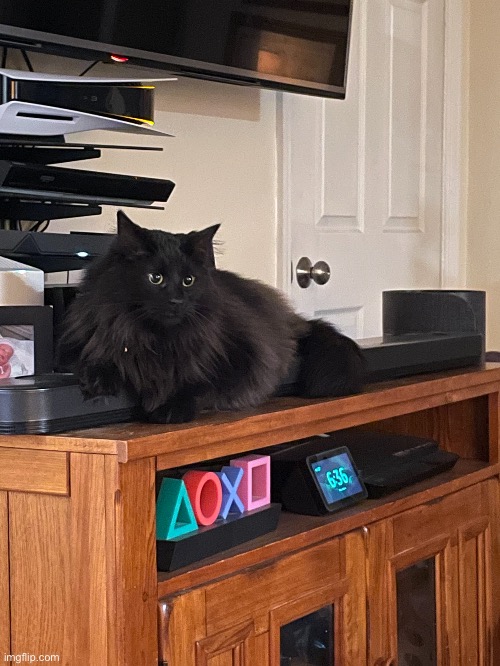 He’s judging you | made w/ Imgflip meme maker