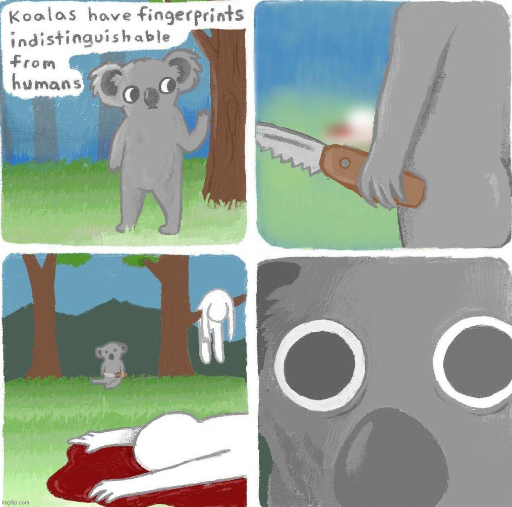 image tagged in dark humor,angry koala | made w/ Imgflip meme maker