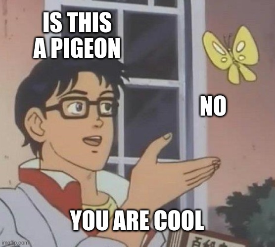 its a butterfly my g | IS THIS A PIGEON; NO; YOU ARE COOL | image tagged in memes,is this a pigeon | made w/ Imgflip meme maker
