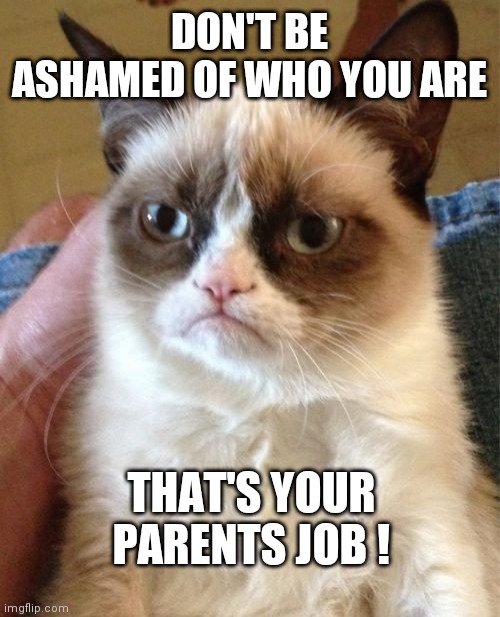 Grumpy Cat Meme | DON'T BE ASHAMED OF WHO YOU ARE; THAT'S YOUR PARENTS JOB ! | image tagged in memes,grumpy cat | made w/ Imgflip meme maker