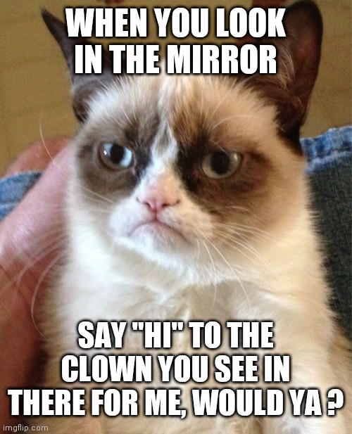 Grumpy Cat Meme | WHEN YOU LOOK IN THE MIRROR; SAY "HI" TO THE CLOWN YOU SEE IN THERE FOR ME, WOULD YA ? | image tagged in memes,grumpy cat | made w/ Imgflip meme maker