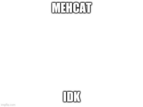 Mehcat | MEHCAT; IDK | image tagged in blank white template | made w/ Imgflip meme maker