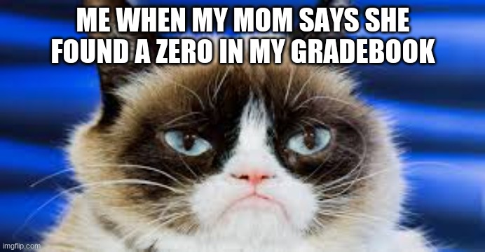 I get mad | ME WHEN MY MOM SAYS SHE FOUND A ZERO IN MY GRADEBOOK | image tagged in memes,funny,cats,animals,funny memes,funny cats | made w/ Imgflip meme maker