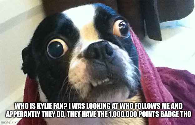 wat |  WHO IS KYLIE FAN? I WAS LOOKING AT WHO FOLLOWS ME AND APPERANTLY THEY DO, THEY HAVE THE 1,000,000 POINTS BADGE THO | image tagged in confused dog | made w/ Imgflip meme maker