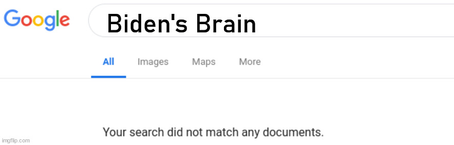 Google No Results | Biden's Brain | image tagged in google no results | made w/ Imgflip meme maker