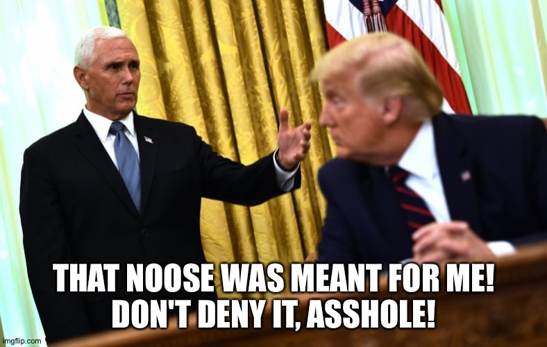 Pence & Trump | THAT NOOSE WAS MEANT FOR ME!
DON'T DENY IT, ASSHOLE! | image tagged in pence trump | made w/ Imgflip meme maker