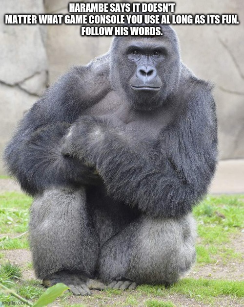Daily Dose Of Harambe. | HARAMBE SAYS IT DOESN'T MATTER WHAT GAME CONSOLE YOU USE AL LONG AS ITS FUN.
FOLLOW HIS WORDS. | image tagged in harambe | made w/ Imgflip meme maker