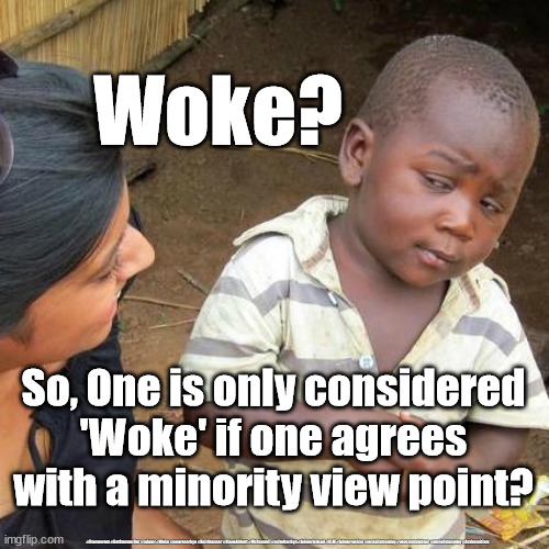 What is Woke? | Woke? So, One is only considered  'Woke' if one agrees 
with a minority view point? #Starmerout #GetStarmerOut #Labour #Woke #wearecorbyn #KeirStarmer #DianeAbbott #McDonnell #cultofcorbyn #labourisdead #BLM #labourracism #socialistsunday #nevervotelabour #socialistanyday #Antisemitism | image tagged in memes,third world skeptical kid,woke,wokeness,wokism,blm | made w/ Imgflip meme maker