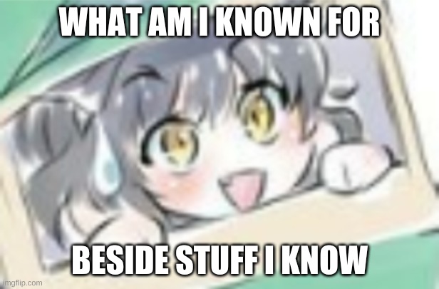 Extremely nervous kitten time | WHAT AM I KNOWN FOR; BESIDE STUFF I KNOW | image tagged in extremely nervous kitten time | made w/ Imgflip meme maker