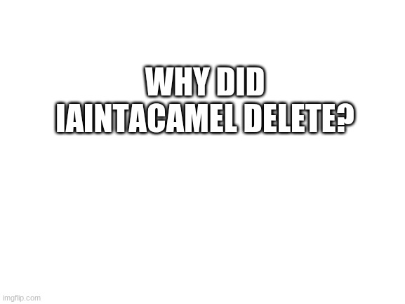Why? | WHY DID IAINTACAMEL DELETE? | image tagged in blank white template,iaintacamel,sad,why | made w/ Imgflip meme maker