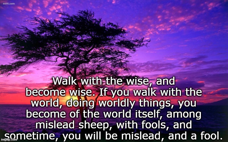 Sunrise purple beauty | Walk with the wise, and become wise. If you walk with the world, doing worldly things, you become of the world itself, among mislead sheep, with fools, and sometime, you will be mislead, and a fool. | image tagged in sunrise purple beauty | made w/ Imgflip meme maker