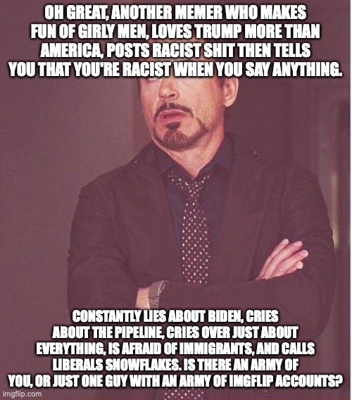 Face You Make Robert Downey Jr Meme | OH GREAT, ANOTHER MEMER WHO MAKES FUN OF GIRLY MEN, LOVES TRUMP MORE THAN AMERICA, POSTS RACIST SHIT THEN TELLS YOU THAT YOU'RE RACIST WHEN  | image tagged in memes,face you make robert downey jr | made w/ Imgflip meme maker
