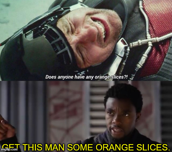 I luv orange slices | GET THIS MAN SOME ORANGE SLICES. | image tagged in black panther - get this man a shield,ant man,captain america civil war | made w/ Imgflip meme maker