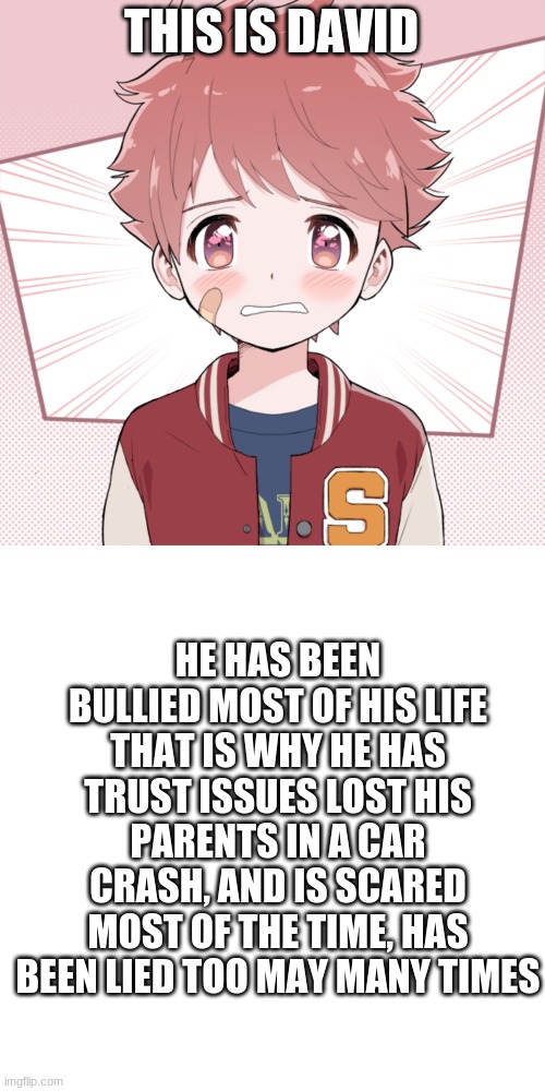 David.Kongro | THIS IS DAVID; HE HAS BEEN BULLIED MOST OF HIS LIFE THAT IS WHY HE HAS TRUST ISSUES LOST HIS PARENTS IN A CAR CRASH, AND IS SCARED MOST OF THE TIME, HAS BEEN LIED TOO MAY MANY TIMES | image tagged in memes,blank transparent square | made w/ Imgflip meme maker
