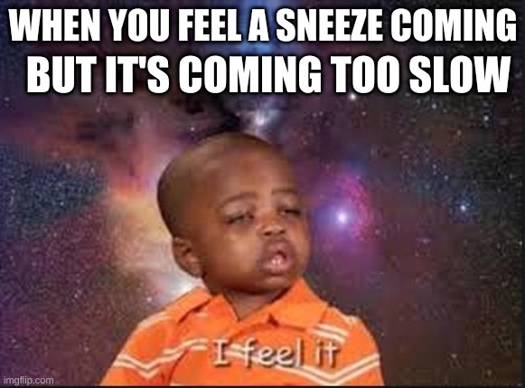 sneeze | BUT IT'S COMING TOO SLOW; WHEN YOU FEEL A SNEEZE COMING | image tagged in sneeze | made w/ Imgflip meme maker