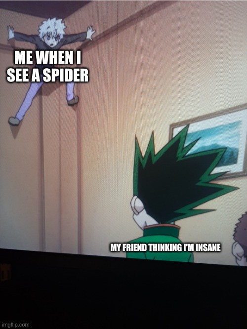 Spider-Killua | ME WHEN I SEE A SPIDER; MY FRIEND THINKING I'M INSANE | image tagged in spider-killua | made w/ Imgflip meme maker