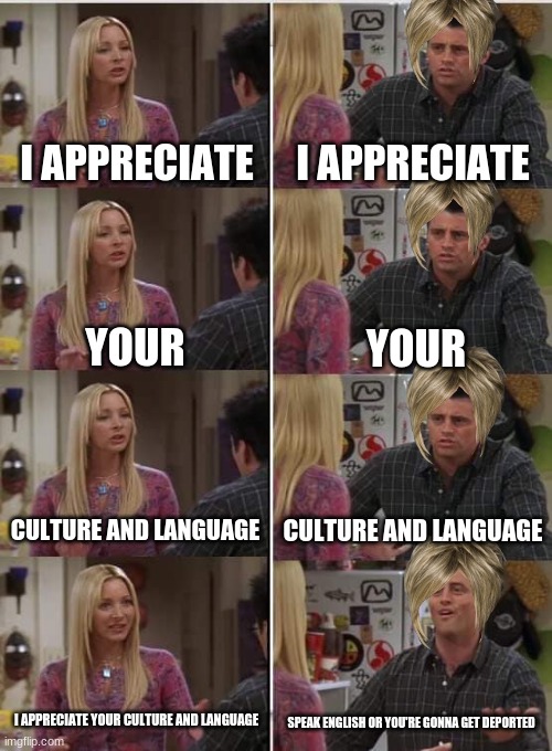 karens. blech. | I APPRECIATE; I APPRECIATE; YOUR; YOUR; CULTURE AND LANGUAGE; CULTURE AND LANGUAGE; I APPRECIATE YOUR CULTURE AND LANGUAGE; SPEAK ENGLISH OR YOU'RE GONNA GET DEPORTED | image tagged in phoebe joey | made w/ Imgflip meme maker