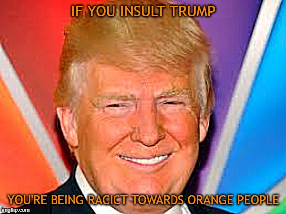 OLM (Orange lives matter) | IF YOU INSULT TRUMP; YOU'RE BEING RACICT TOWARDS ORANGE PEOPLE | image tagged in donald trump,orange | made w/ Imgflip meme maker