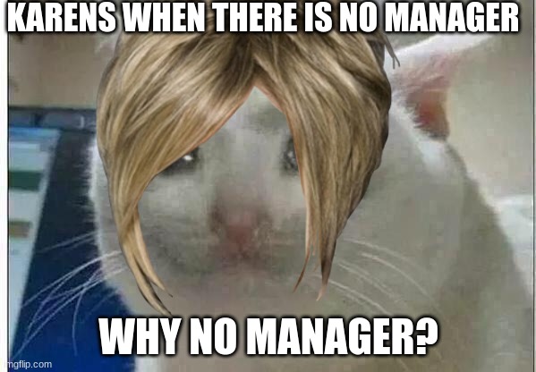 KARENS WHEN THERE IS NO MANAGER; WHY NO MANAGER? | made w/ Imgflip meme maker