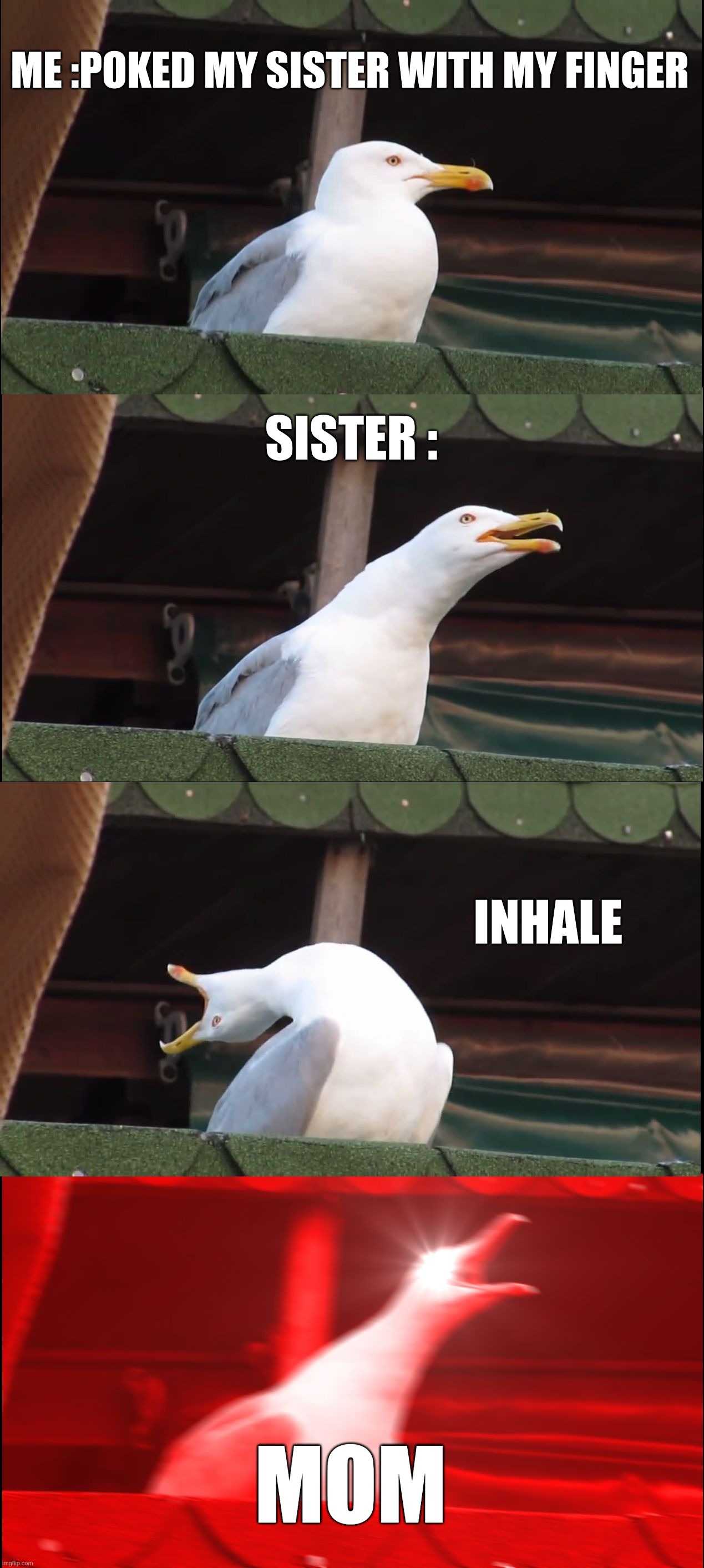 Upvote if you can relate | ME :POKED MY SISTER WITH MY FINGER; SISTER :; INHALE; MOM | image tagged in memes,inhaling seagull | made w/ Imgflip meme maker