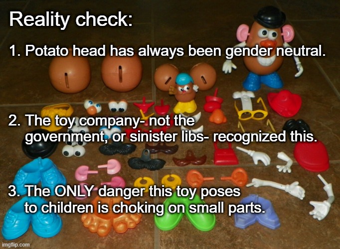 Reality check- Potato head | Reality check:; 1. Potato head has always been gender neutral. 2. The toy company- not the                  government, or sinister libs- recognized this. 3. The ONLY danger this toy poses       to children is choking on small parts. | image tagged in mr potato head | made w/ Imgflip meme maker